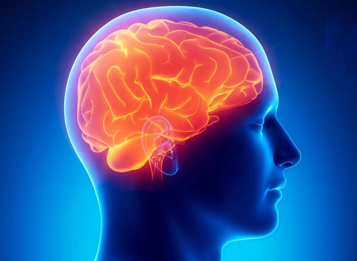 Выявлена способность системных и ингаляционных глюкокортикоидов вызывать изменения в головном мозге