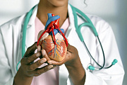 Учеными было выведено уравнение для прогноза пятилетнего риска сердечно-сосудистых осложнений