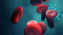 Белки крови помогли спрогнозировать риск развития более 60 заболеваний