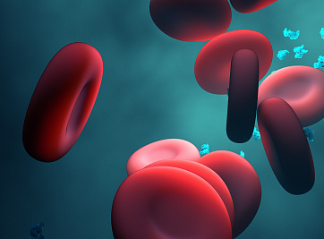 Белки крови помогли спрогнозировать риск развития более 60 заболеваний